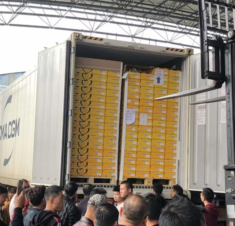 kiwi fruit processing machine.jpg